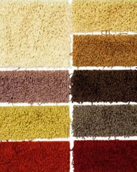 World Of Floors Carpeting Canton Mi